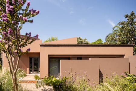 House around the Tree